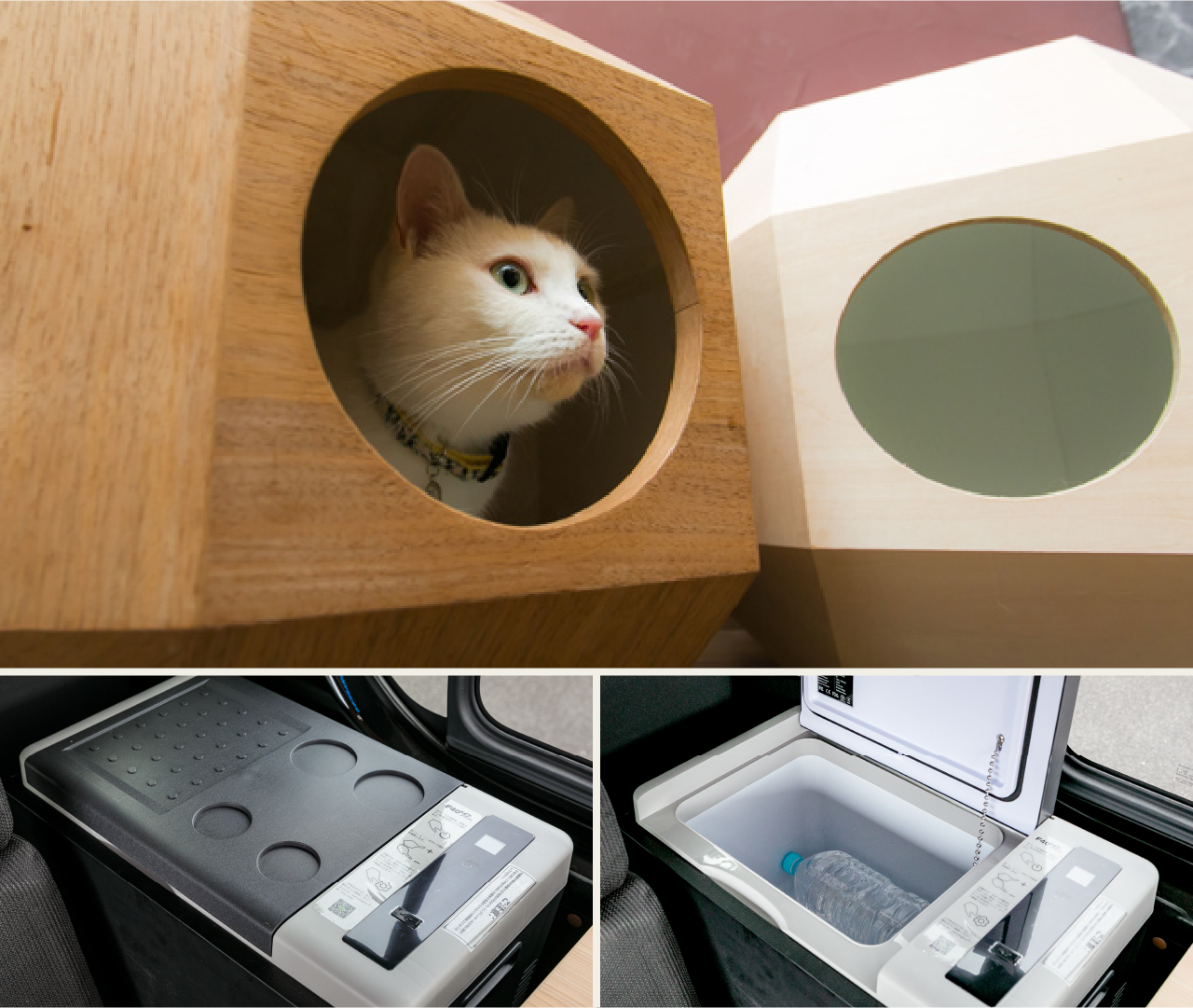 猫家具と冷蔵庫